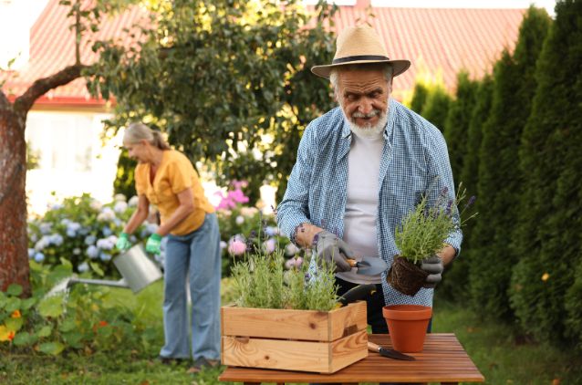 When the Homestead Loses Curb Appeal